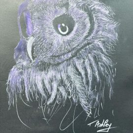 Animal drawing