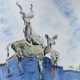 Oh Deer