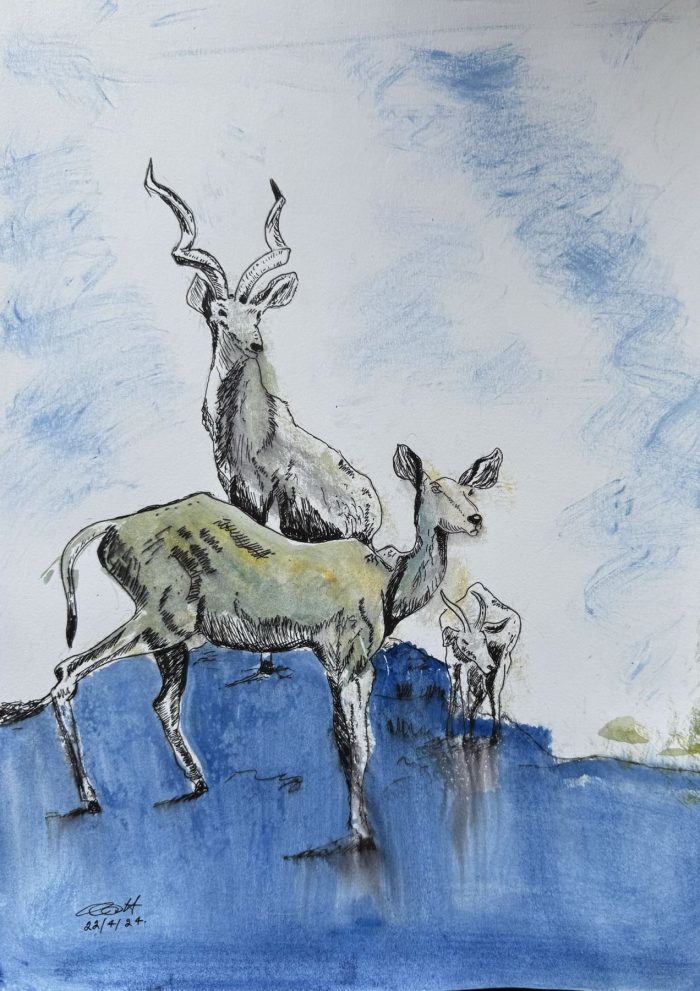 Oh Deer