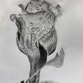 Tear Drops