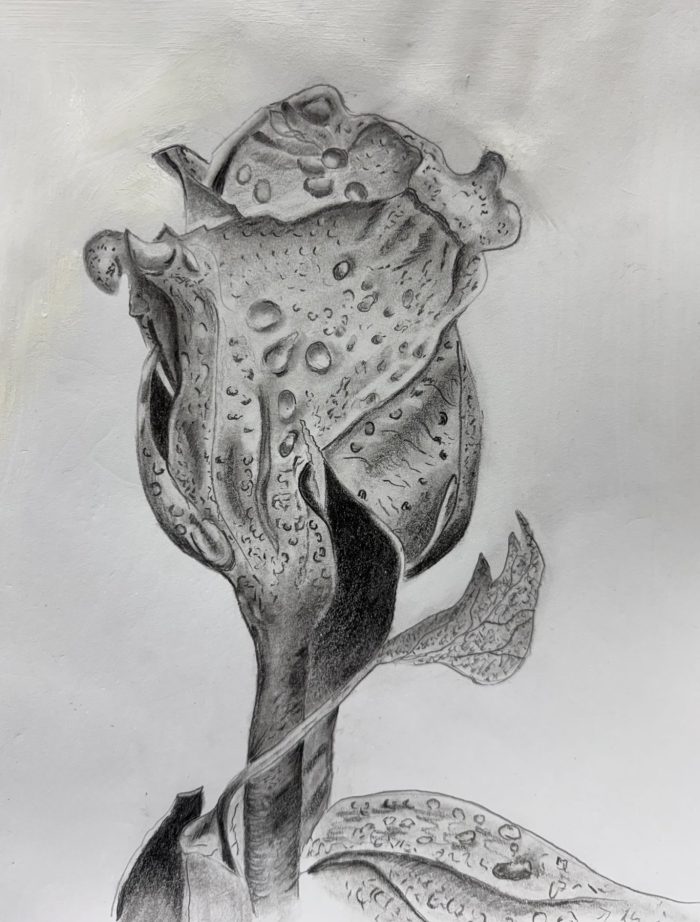 Tear Drops