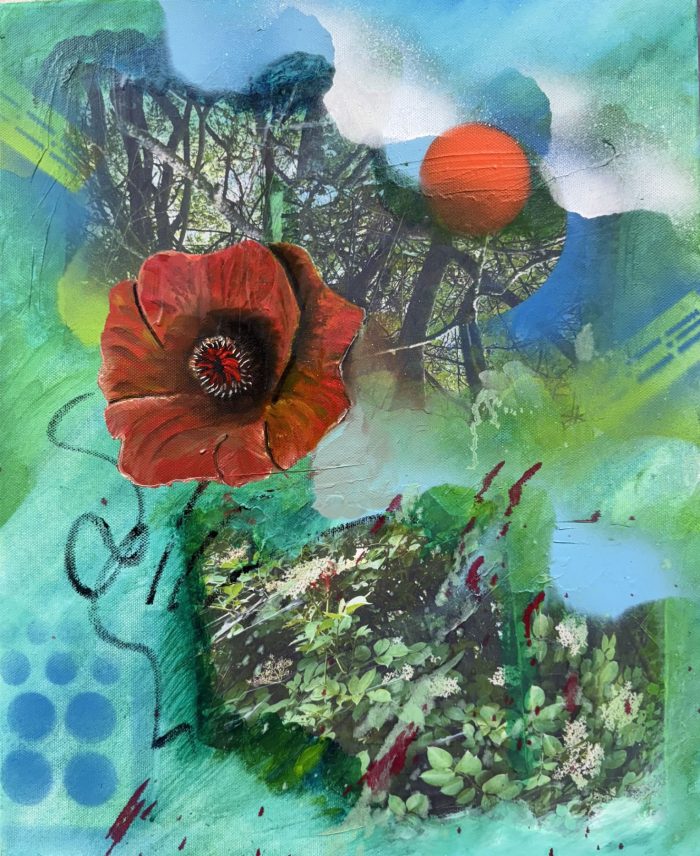 Sun Rose 2